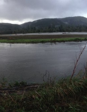 Necanicum River - Highway 101 Flood Mitigation
