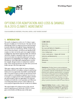 Options for Adaptation and Loss and Damage in a 2015 Climate Agreement