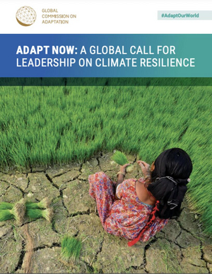 Adapt Now: A Global Call for Leadership on Climate Resilience