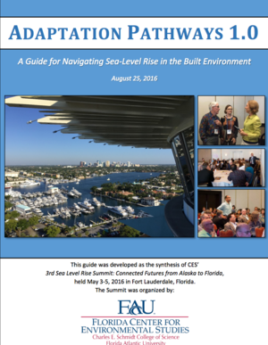 Adaptation Pathways 1.0: A Guide for Navigating Sea-Level Rise in the Built Environment