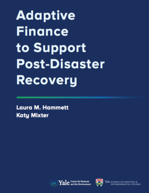 Adaptive Finance to Support Post-Disaster Recovery