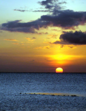 Caribbean climate adaptation &ndash; The role of government
