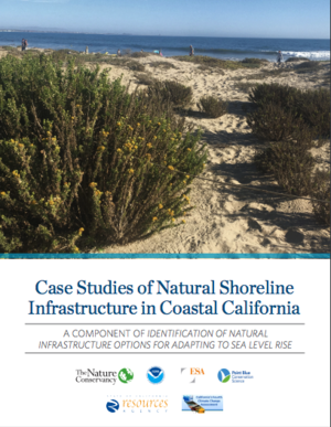 Case Studies of Natural Shoreline Infrastructure in Coastal California