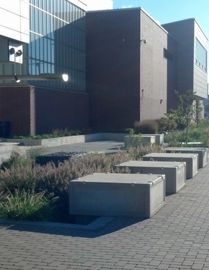 Pilsen Sustainable Streets (Chicago, Illinois Department of Transporation)