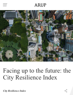 City Resilience Index