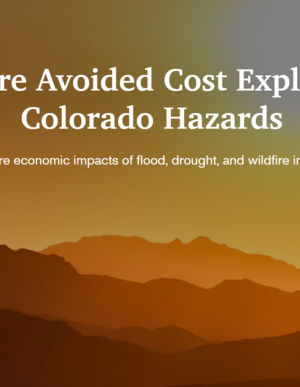 Colorado Future Avoided Cost Explorer (FACE:Hazards) Tool