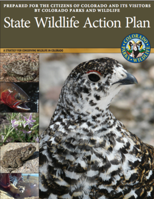 Colorado State Wildlife Action Plan: A Strategy for Conserving Wildlife in Colorado
