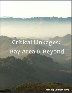 Critical Linkages: Bay Area and Beyond