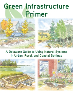 Green Infrastructure Primer: A Delaware Guide to Using Natural Systems in Urban, Rural, and Coastal Settings