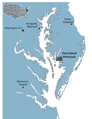 Deal Island Peninsula Project