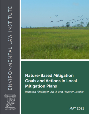 Nature-Based Goals and Actions in Local Mitigation Plans