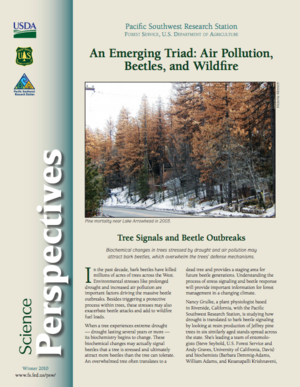 An Emerging Triad: Air Pollution, Beetles, and Wildfire