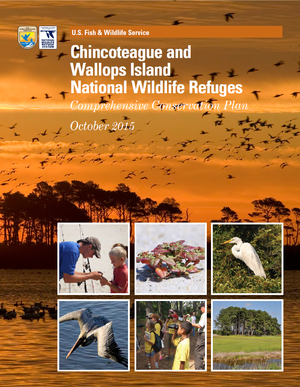 Chincoteague National Wildlife Refuge Restoration and Relocation Efforts