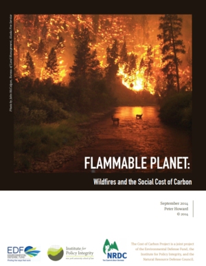 Flammable Planet: Wildfires and the Social Cost of Carbon