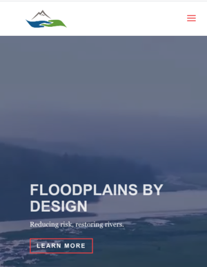 Floodplains by Design