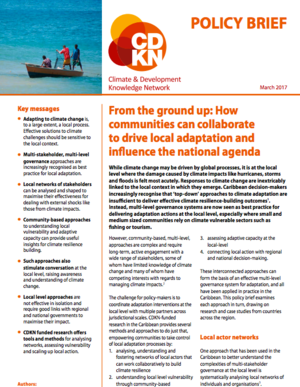 From the ground up &ndash; How communities can collaborate to drive local adaptation and influence the national agenda