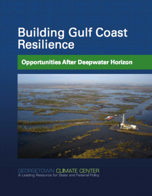 Building Gulf Coast Resilience - Opportunities After Deepwater Horizon