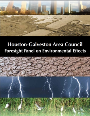 Houston-Galveston Area, Texas Council Foresight Panel on Environmental Effects Report