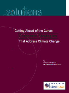 Getting Ahead of the Curve: Corporate Strategies that Address Climate Change