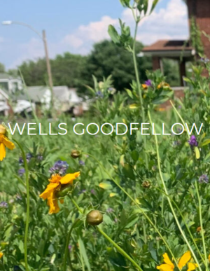 Wells-Goodfellow Neighborhood Green Space Project - St. Louis, Missouri