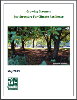Growing Greener: Eco-Structure for Climate Resilience