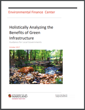 Holistically Analyzing the Benefits of Green Infrastructure - Guidance for Local Governments