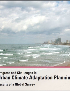 Progress and Challenges in Urban Climate Adaptation Planning: Results of a Global Survey