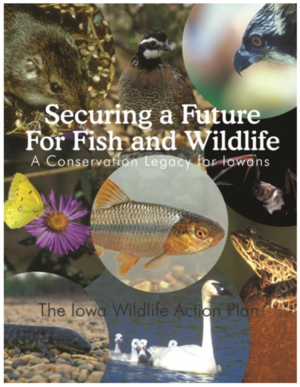 Iowa Wildlife Action Plan - Securing a Future for Fish and Wildlife: A Conservation Legacy for Iowans