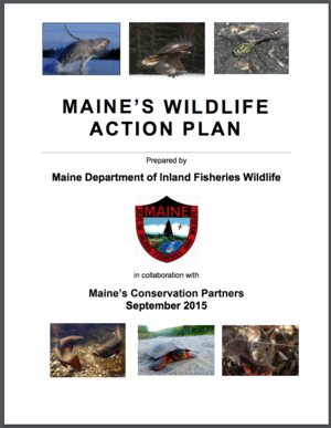 Maine Wildlife Action Plan