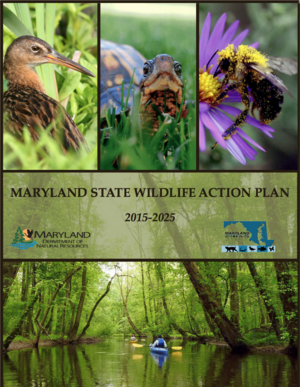 Maryland State Wildlife Action Plan (2015-2025)