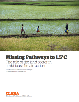 Missing Pathways to 1.5&deg;C - The Role of the Land Sector in Ambitious Climate Action