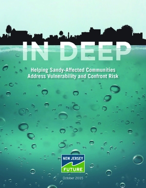 In Deep: Helping Sandy-Affected Communities Address Vulnerability and Risk