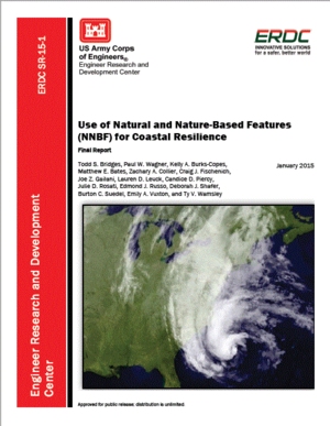 Use of Natural and Nature-Based Features for Coastal Resilience