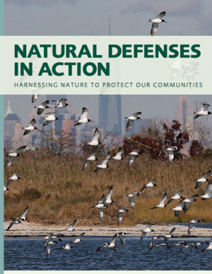 NWF - Natural&nbsp;Defenses in Action: Harnessing Nature to Protect Our Communities