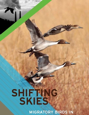Shifting Skies: Migratory Birds in a Warming World