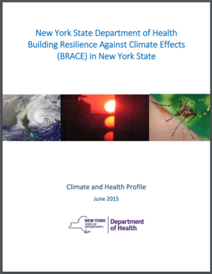 New York State Department of Health Building Resilience Against Climate Effects (BRACE) in New York State