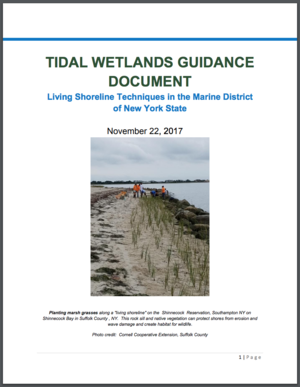 New York Tidal Wetlands Guidance Document