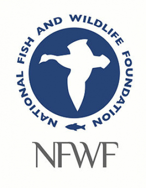 National Fish and Wildlife Foundation: National Coastal Resilience Fund 2022 Request for Proposals
