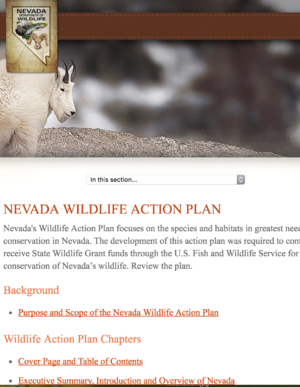Nevada Wildlife Action Plan