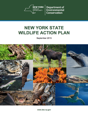 New York State Wildlife Action Plan