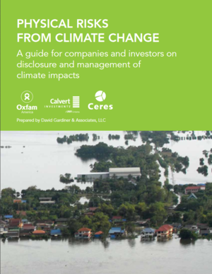 Physical Risks from Climate Change: A guide for companies and investors on disclosure and management of climate impacts