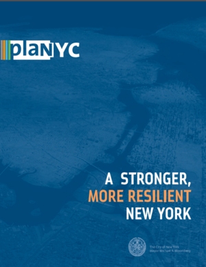 A Stronger, More Resilient New York