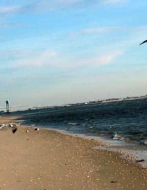 Plumb Beach Renourishment Project and Protection of Belt Parkway, Brooklyn, New York
