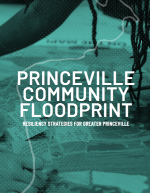 Town of Princeville, North Carolina: Princeville Community Floodprint: Resilience Strategies for Greater Princeville, North Carolina