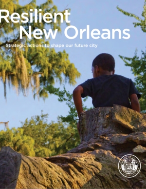 Resilient New Orleans: Strategic Action to Shape Our Future City