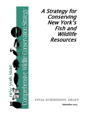 New York State Comprehensive Wildlife Conservation Strategy