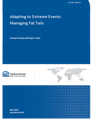 Adapting to Extreme Events: Managing Fat Tails