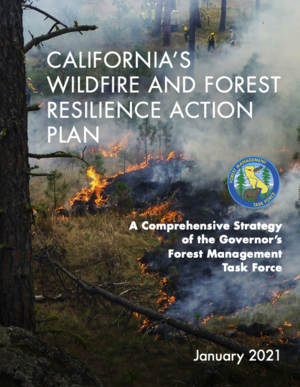 California&rsquo;s Wildfire and Forest Resilience Action Plan