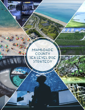 Miami-Dade County, Florida: Sea Level Rise Strategy