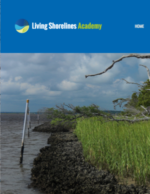 Living Shorelines Academy